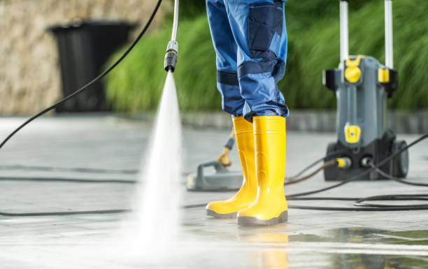 Best Roof Pressure Washing  in Tipton, IN