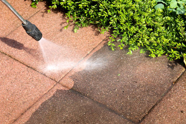 Best Pressure Washing Siding  in Tipton, IN